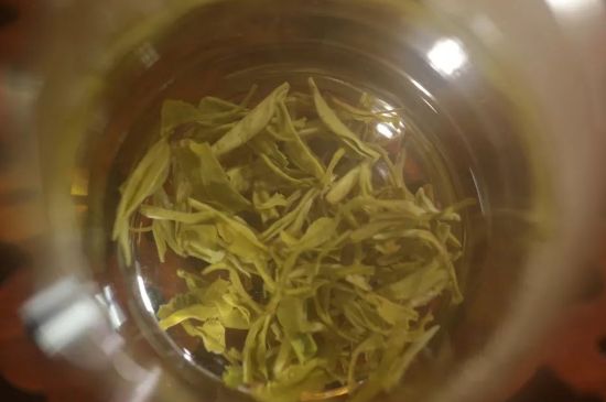 碧螺春正確泡法和飲用，碧螺春茶泡茶方法與溫度