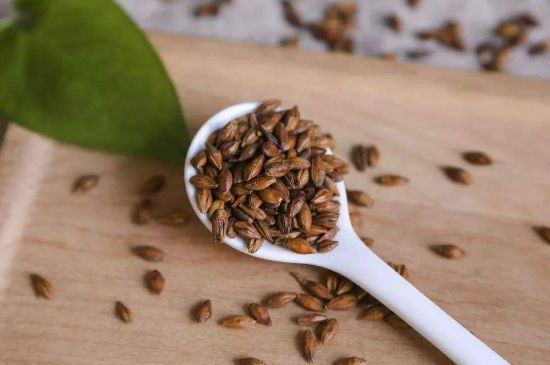 大麥茶上火嗎，喝大麥茶會不會上火？