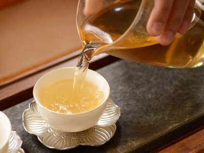 茶葉的專業(yè)知識，關(guān)于茶的基本知識大全