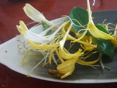 喝茶治口臭嗎，什么茶治口臭好？