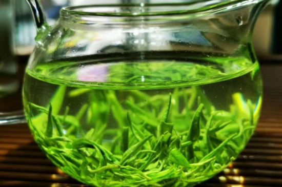 喝黃金茶禁忌，什么人不能喝黃金芽茶？