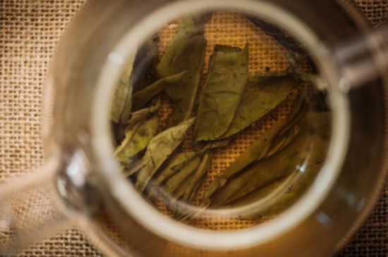 苦丁茶副作用，苦丁可以經(jīng)常喝嗎？