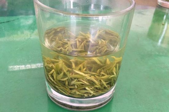 碧螺春正確泡法和飲用，碧螺春茶泡茶方法與溫度