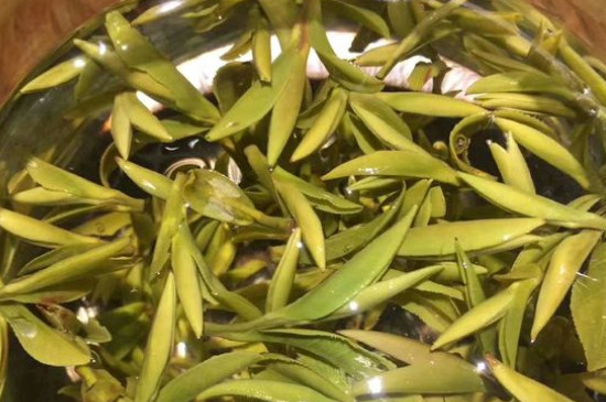 八大茶系都有哪幾種，八大茶系都是什么名字