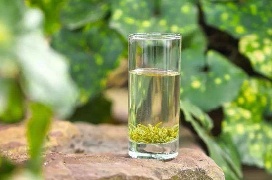 碧螺春沖泡三要素，碧螺春怎么泡才正確？