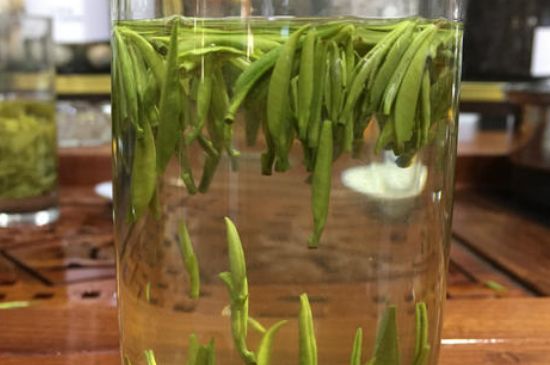 雀舌茶的副作用，雀舌茶什么人不能喝？