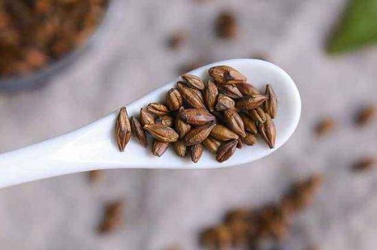 飯店的大麥茶為什么那么香，自己泡的蕎麥茶沒(méi)飯店香