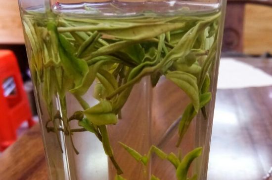 云霧綠茶的功效及禁忌，哪些人不適合喝云霧茶