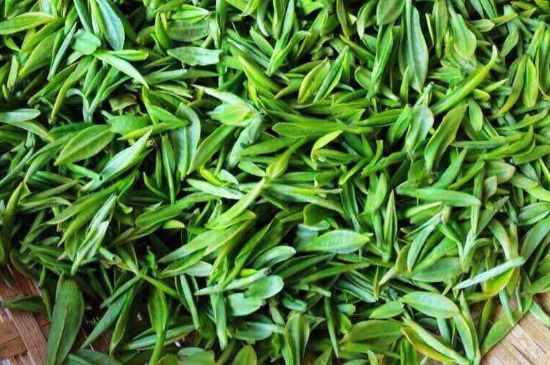 云霧綠茶的功效及禁忌，哪些人不適合喝云霧茶