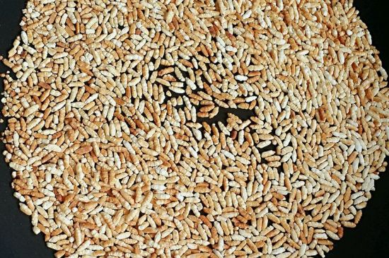 玄米茶是紅茶嗎，玄米茶怎么喝