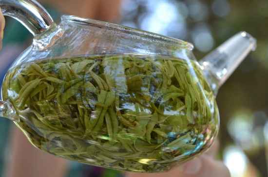 新手學(xué)泡茶的基本常識，從零開始學(xué)泡茶