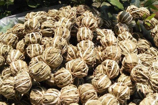 鷓鴣茶的禁忌，海南鷓鴣茶副作用