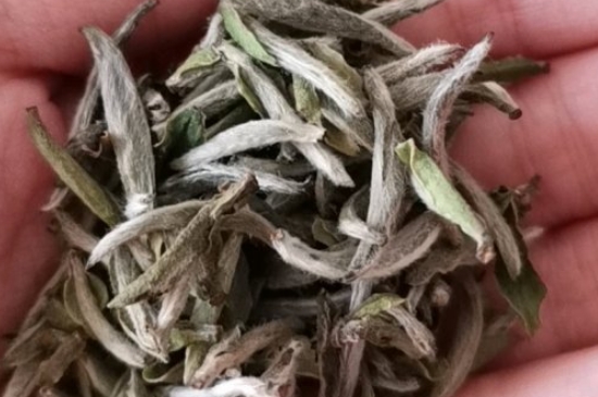 如何買茶葉不上當(dāng)，怎么買茶葉不被坑？