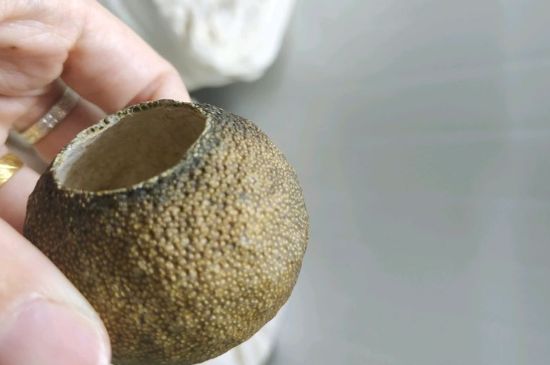 小青柑多少錢一盒，新會小青柑普茶價格一斤多少