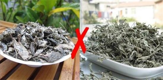 張家界茅巖莓茶與藤茶是同一種茶嗎，藤茶跟莓茶一不一樣？