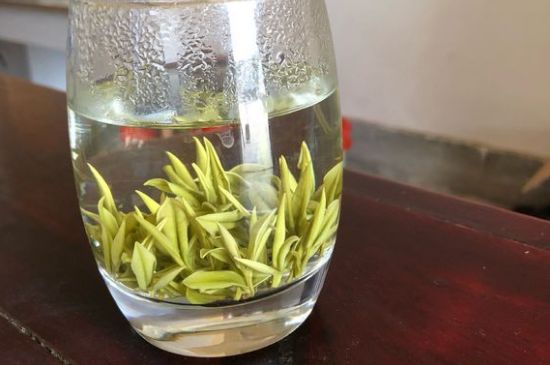 安吉白茶耐寒嗎，白茶適合放冰箱嗎