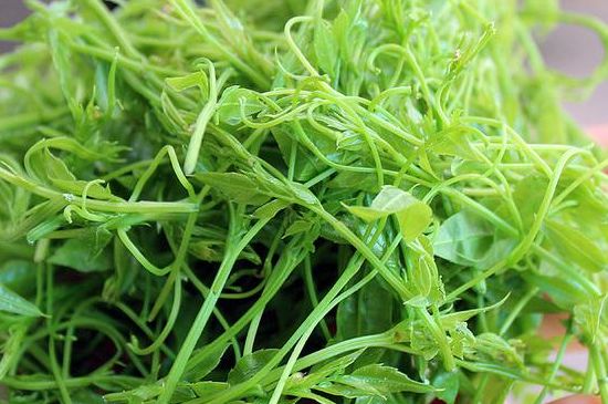 茅巖莓茶別名是什么，莓茶別名叫藤茶嗎？