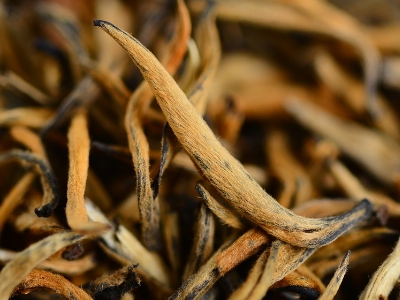 怎么知道什么茶葉適合自己，怎么判斷自己適合喝什么茶？