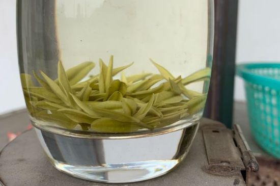 安吉白茶耐寒嗎，白茶適合放冰箱嗎