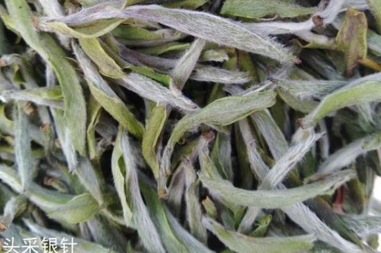 春茶季怎么辨別白毫銀針的好壞，好的白毫銀針如何選購(gòu)？