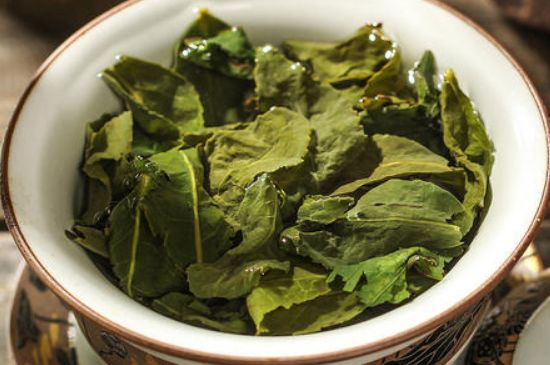 陳茶還是新茶好，茶葉是新茶好喝還是陳茶好喝