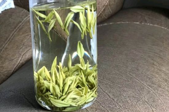 安吉白茶夏天怎么保存，安吉白茶能冷凍儲(chǔ)存嗎？