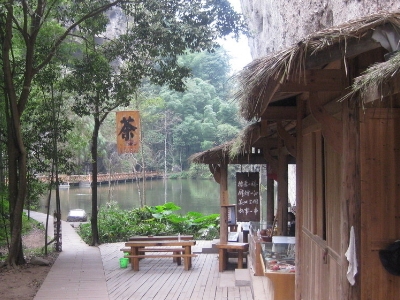 實體店買茶葉的技巧，新手買茶須知