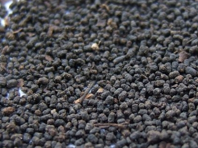 圓形顆粒狀茶是什么茶，像飼料一樣一粒粒的是什么茶？