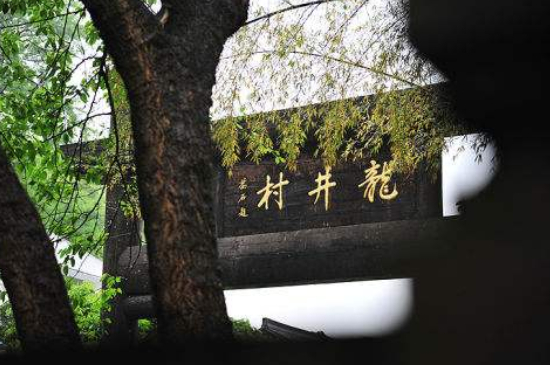 杭州買龍井茶攻略，怎么買到正宗的西湖龍井？