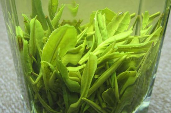 哪種茶葉可以放冰箱，哪些茶不能放冰箱？