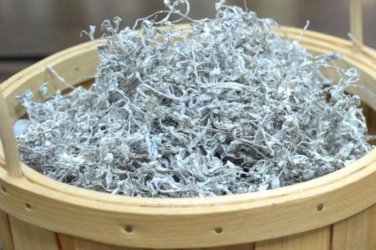 張家界莓茶真假對比，野生莓茶的鑒別方法