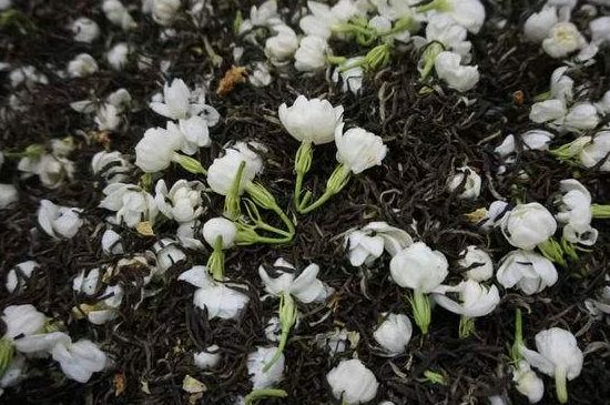 茉莉龍珠怎么做的，茉莉龍珠的制作工藝