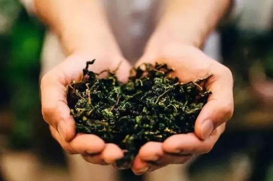 茶葉怎么炒制才香，怎樣炒茶葉更香？