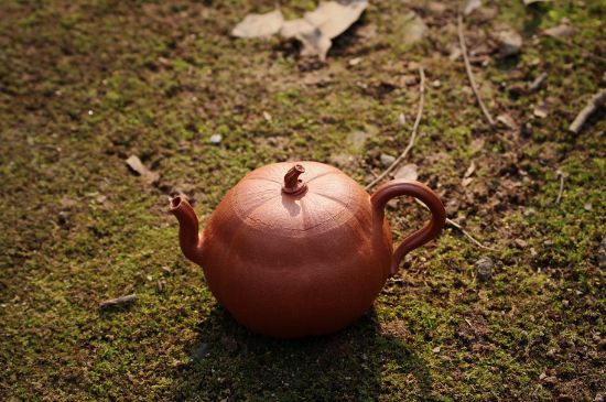 紫砂壺泡什么茶最佳，紫砂壺一般泡什么茶？