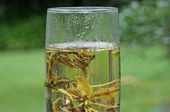 茉莉龍珠什么人不能喝，茉莉龍珠茶什么體質(zhì)不能喝？