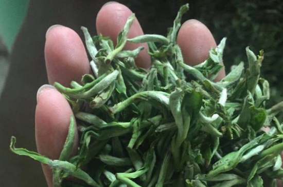 茉莉茶如何制作曬干，自制茉莉茶的做法