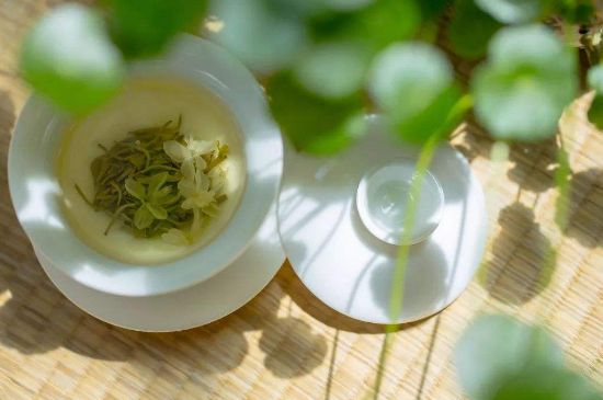 茉莉花茶6種人不要喝，什么體質(zhì)不適合喝茉莉花茶？