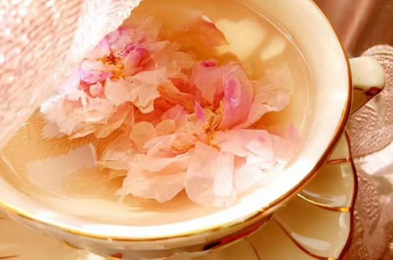 玫瑰花茶一周喝幾次，玫瑰花茶可以天天喝嗎？
