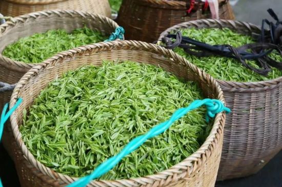 茶葉怎么炒制才香，怎樣炒茶葉更香？