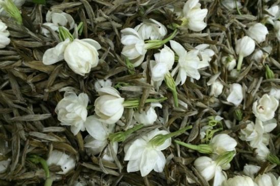 茉莉銀針口感，茉莉銀針是什么味道？