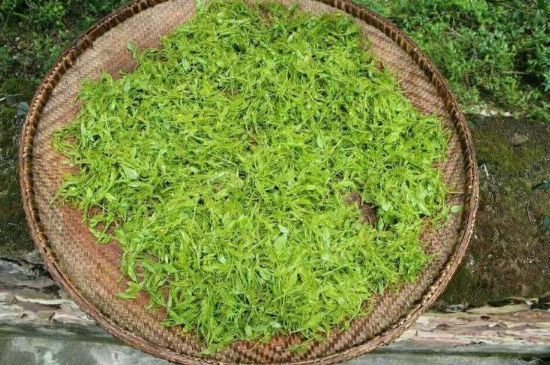 茅巖莓茶加工工藝，莓茶的工藝制作過程