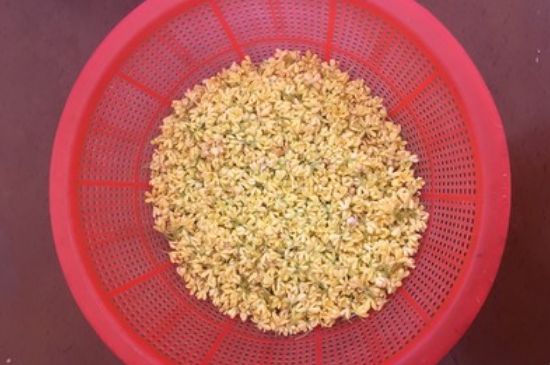 干桂花茶的制作方法，怎樣自制桂花茶？