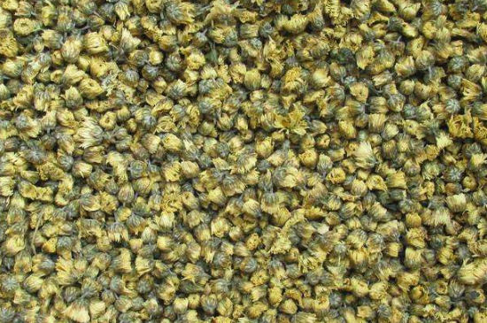 菊花茶大朵小朵有什么區(qū)別，菊花喝大朵還是小朵？