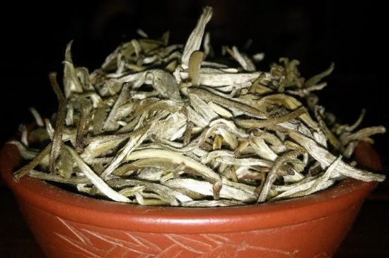 茉莉花茶6種人不要喝，什么體質(zhì)不適合喝茉莉花茶？