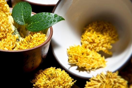 孕婦可以喝菊花茶嗎，菊花對(duì)胎兒有致畸作用？