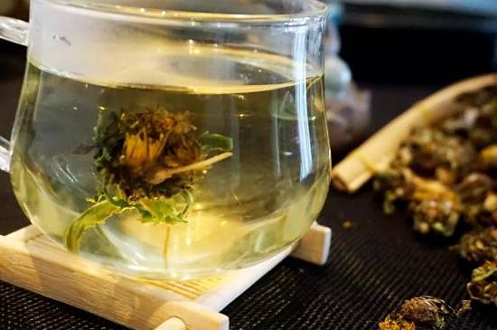 蒲公英最佳搭配，蒲公英茶和什么搭配泡水最佳