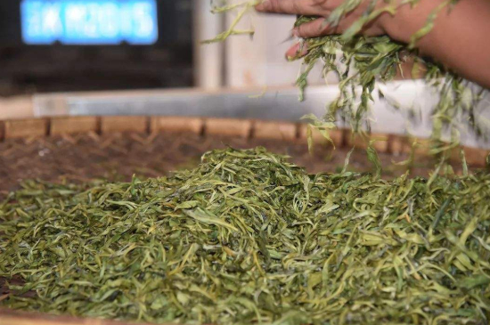 炒青綠茶與綠茶的區(qū)別，烘青和炒青哪個(gè)好喝？