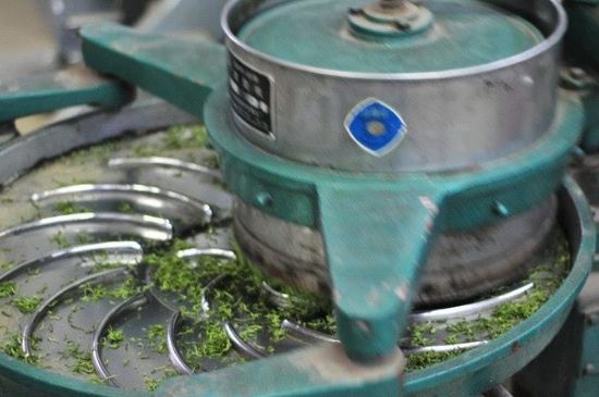 武夷巖茶的初制、精制加工工藝詳細講解