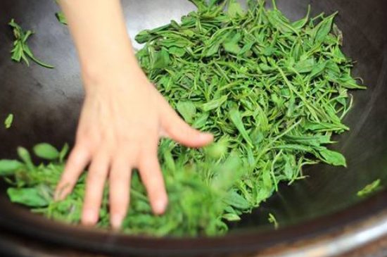 炒青綠茶與綠茶的區(qū)別，烘青和炒青哪個(gè)好喝？