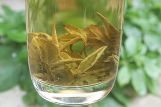 茉莉龍珠泡開(kāi)后為什么都是梗，茉莉龍珠泡開(kāi)后什么樣？